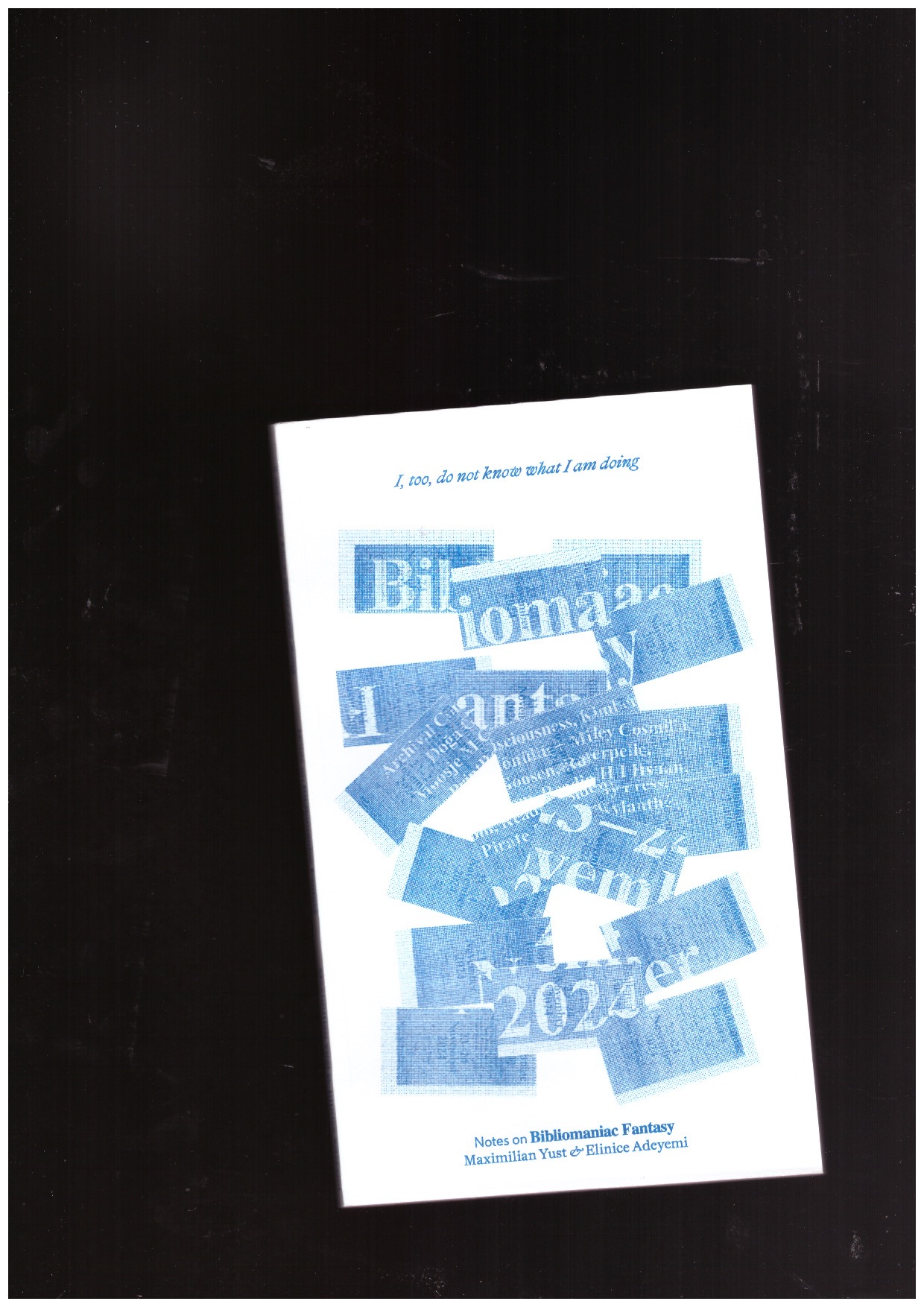 YUST, Maximilian; ADEYEMI, Elinice - I, too, do not know what I am doing